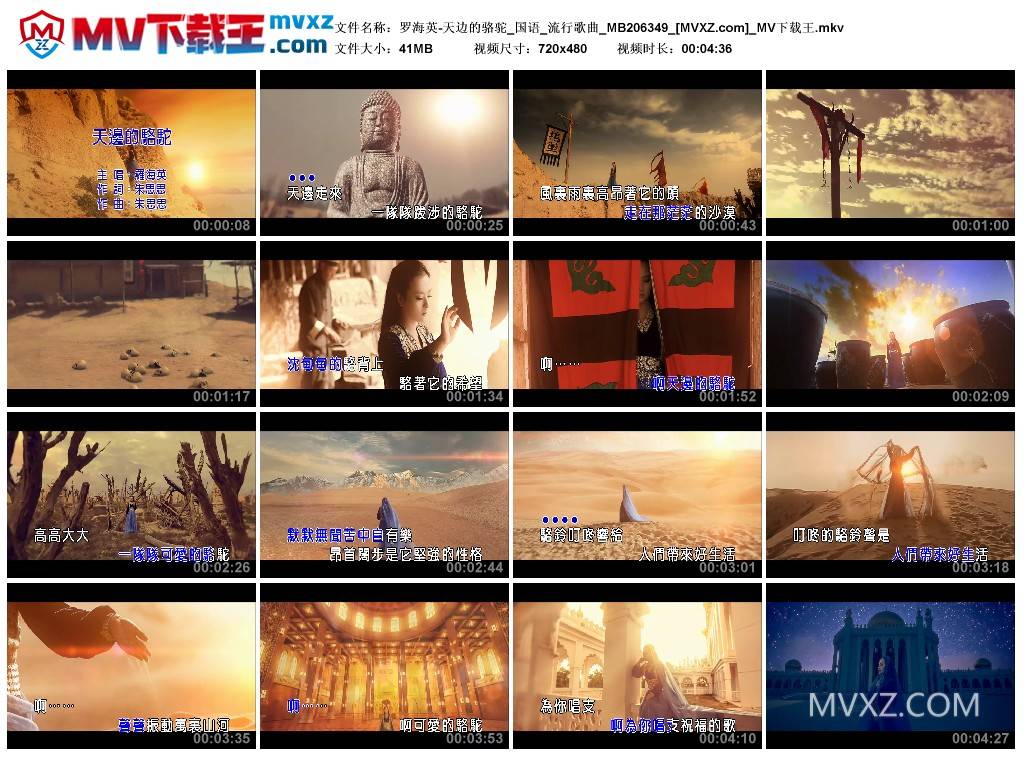 罗海英-天边的骆驼_国语_流行歌曲_MB206349